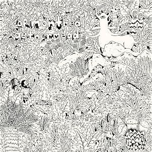 Aethermead por Of Montreal — capa do álbum