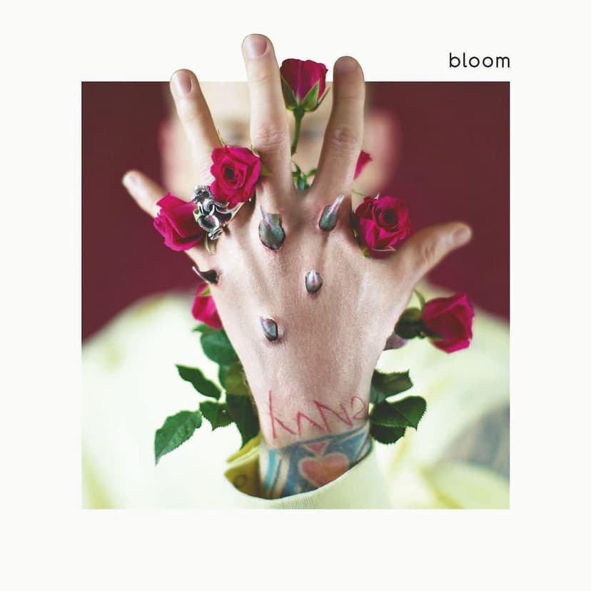 Bloom vinyl por Machine Gun Kelly — capa do álbum