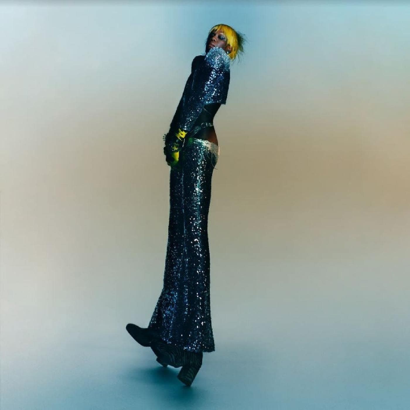 Praise A Lord Who Chews But Which Does Not Consume ( Or Simply Hot Between Worlds) (Colored Vinyl, Yellow, Gatefold LP Jacket, Poster, Digital Download Card) por Yves Tumor — capa do álbum