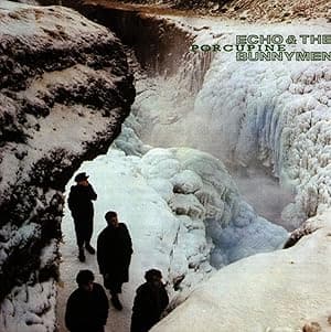 Echo And The Bunnymen - Porcupine por Echo And The Bunnymen — capa do álbum