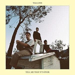 Tell Me That It's Over por Wallows — capa do álbum
