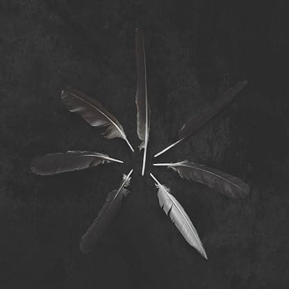 Dust And Disquiet por Caspian — capa do álbum