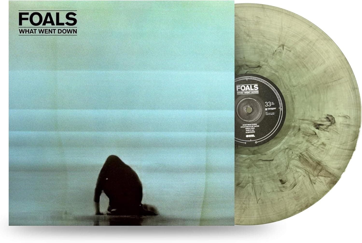 LP VINIL Foals - What Went Down por Foals — capa do álbum
