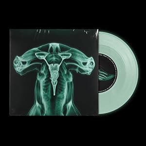 Shark Brain / Dolphin - Glow in the Dark por Eartheater — capa do álbum
