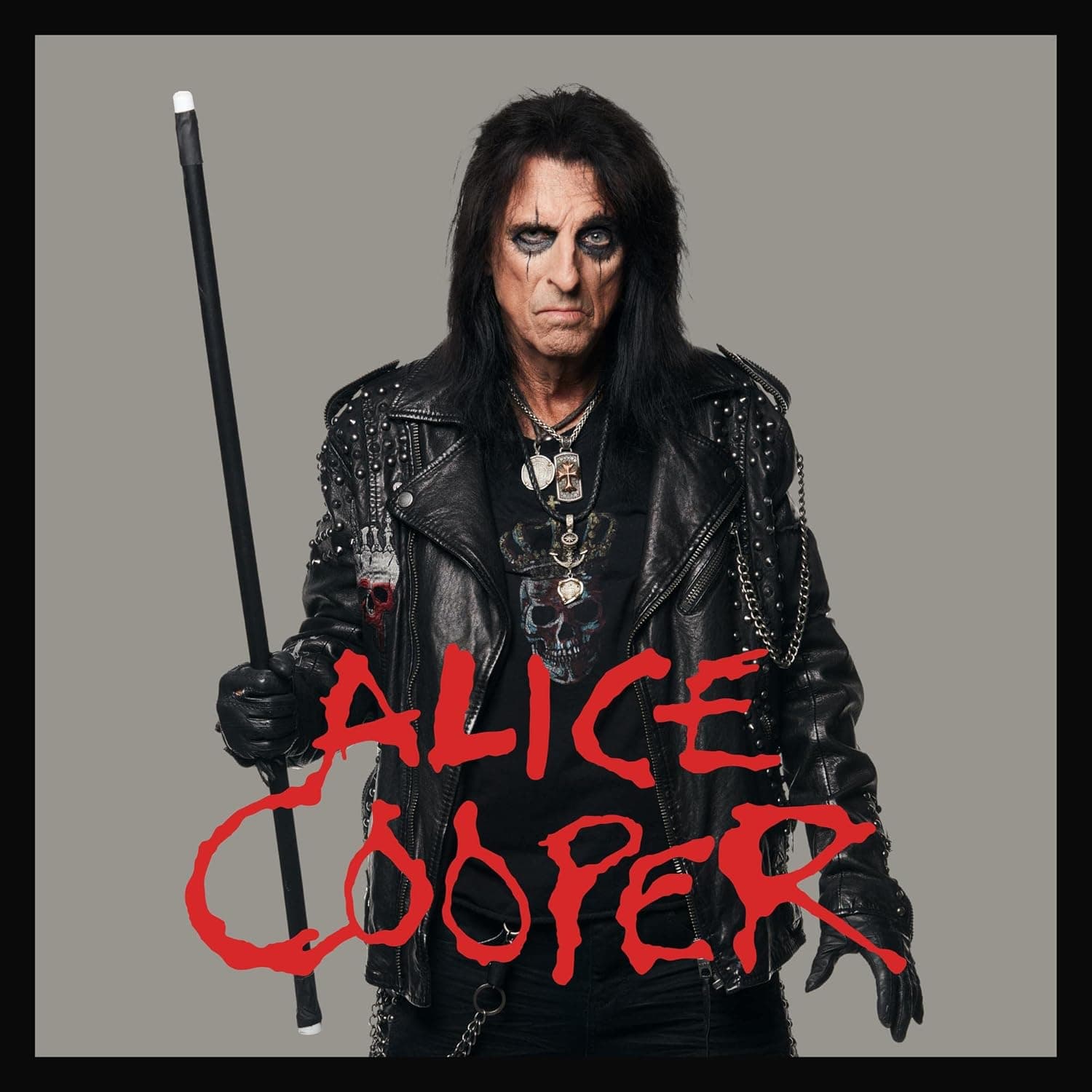 DETROIT STORIES/PARANORMAL/A PARANORMAL EVENING (PICTURE DISC/6LP) por Alice Cooper — capa do álbum