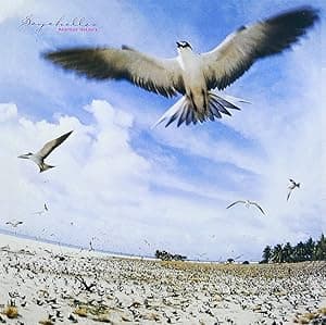 Seychelles por Masayoshi Takanaka — capa do álbum