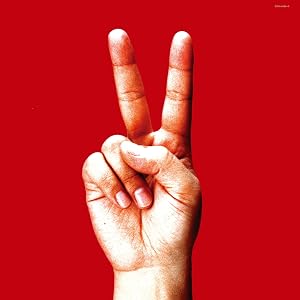 birdy por Bloodthirsty Butchers — capa do álbum