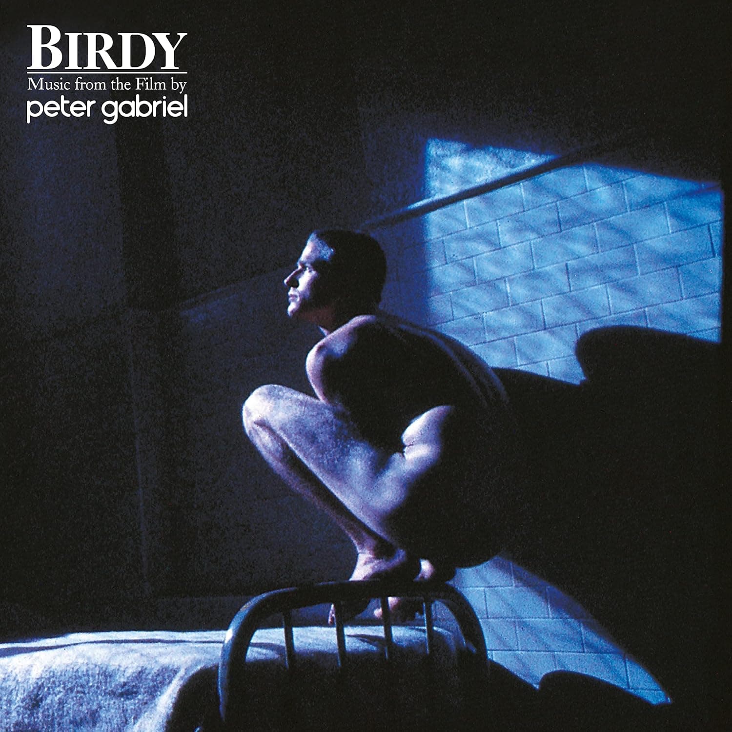 Birdy: Music From The Film por Peter Gabriel — capa do álbum