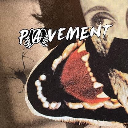 Hecklers Choice: Big Gums And Heavy Lifters - A Pavement Collection por Pavement — capa do álbum