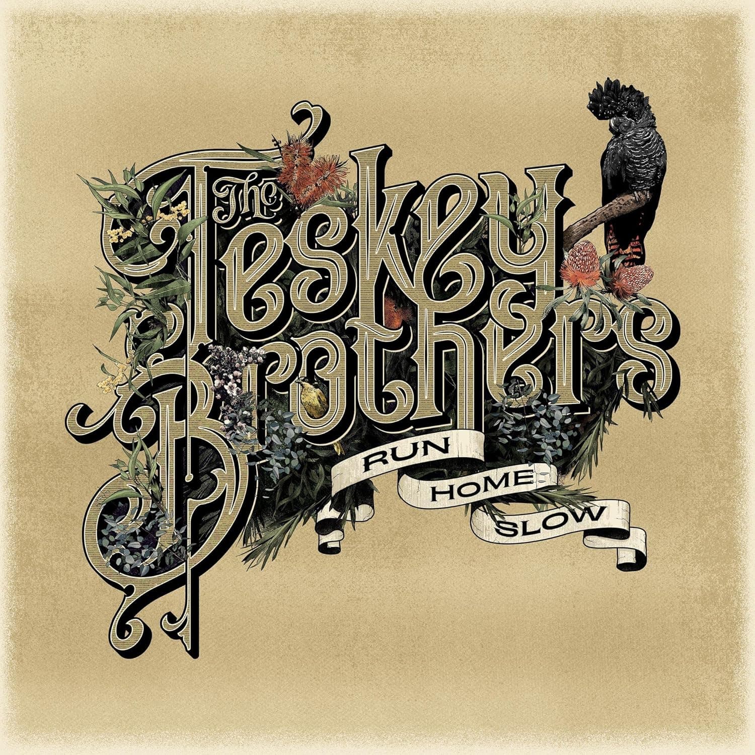 Run Home Slow por The Teskey Brothers — capa do álbum
