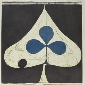 VINYL Shields por Grizzly Bear — capa do álbum